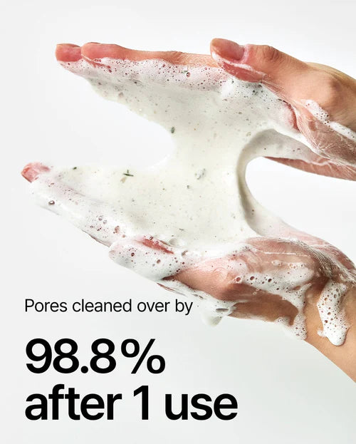 Anua HEARTLEAF QUERCETINOL PORE DEEP CLEANSING FOAM