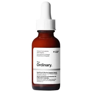 The Ordinary